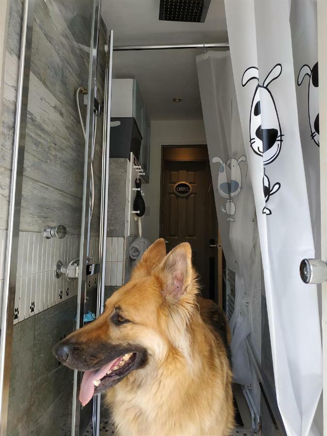 Dog Friendly Nancecliff Cottages Лоо Екстер'єр фото