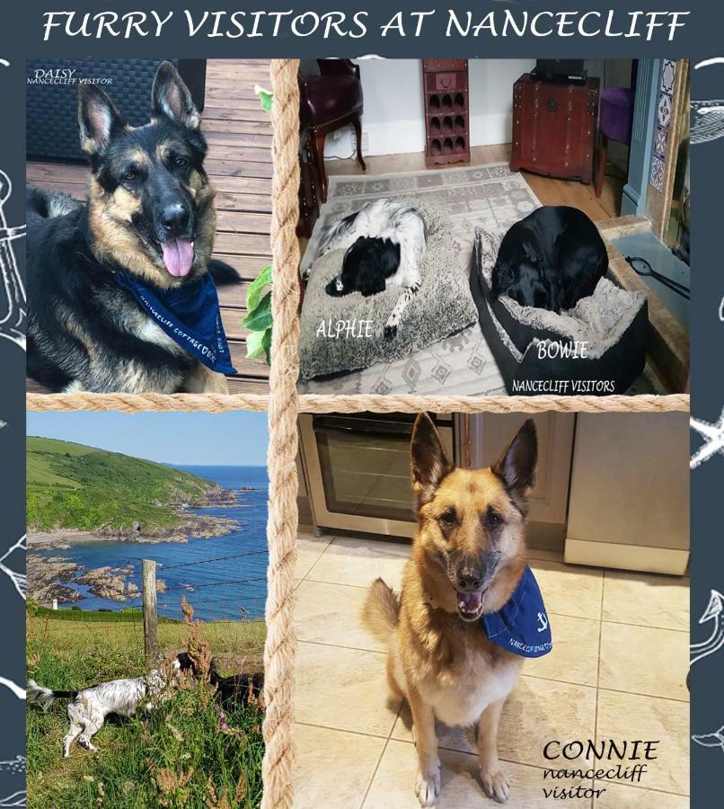 Dog Friendly Nancecliff Cottages Лоо Екстер'єр фото